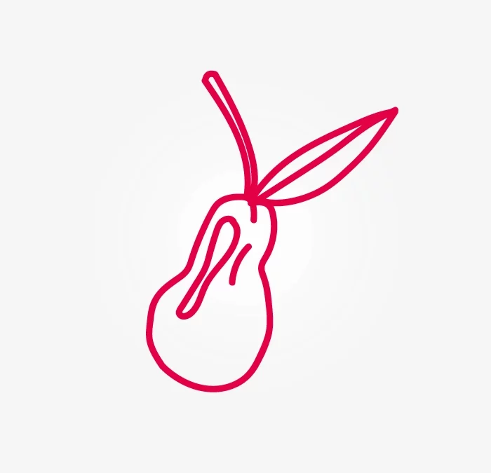 LES JUS DE POIRES DE JEAN-PHILIPPE