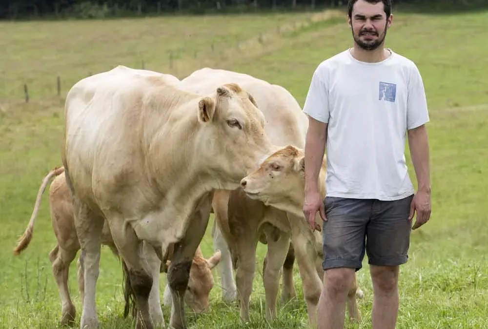 LE BŒUF ET LE VEAU D’ERIC