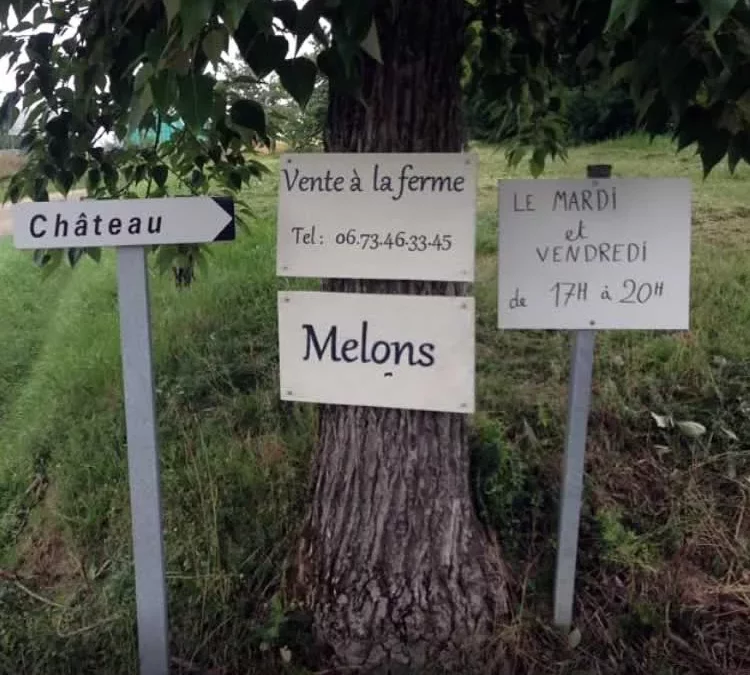 LES TOMATES ET LES MELONS DE JÉRÉMY