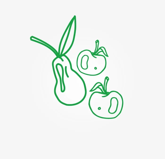 LES POMMES ET POIRES DE THIERRY